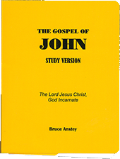 The Gospel of John by Stanley Bruce Anstey