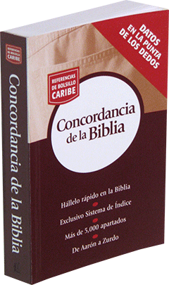 Spanish Concordancia de La Biblia: Serie Referencias de bolsillo by RVR 1960
