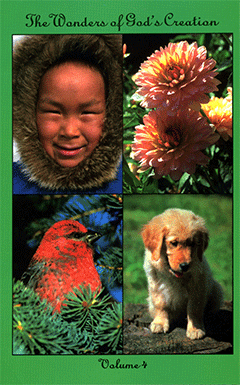 The Wonders of God's Creation by Sidney R. Gill
