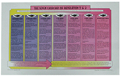 The Seven Churches Chart: The Seven Churches of Revelation 2 & 3 by J.B. Nicholson Jr. & S. Tucker