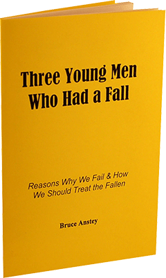 Three Young Men Who Had a Fall: Reasons Why We Fail by Stanley Bruce Anstey