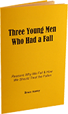 Three Young Men Who Had a Fall: Reasons Why We Fail by Stanley Bruce Anstey
