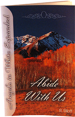 Abide With Us: Angels in White Expanded, #1 by Russell Elliott