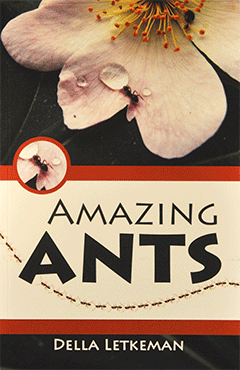 Amazing Ants by D. Letkeman