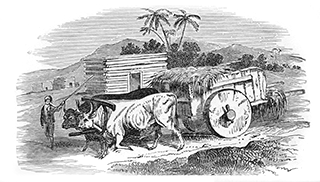 Oriental Cart