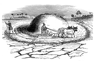 Threshing with the Sled