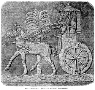 Royal Chariot