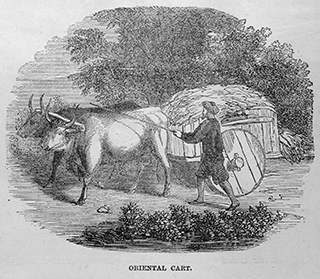Oriental Cart