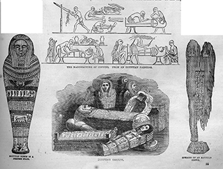 Egyptian Coffins