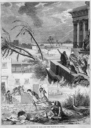 The Plague of Hail and the Plague of Frogs