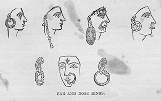 Ear or Nose Rings