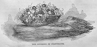 The Offering of Firstfruits