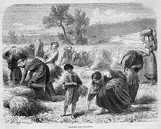 Reapers and Gleaners