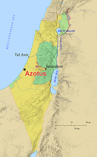 Azotus