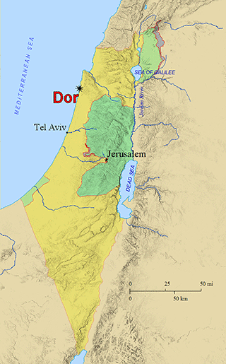 Dor