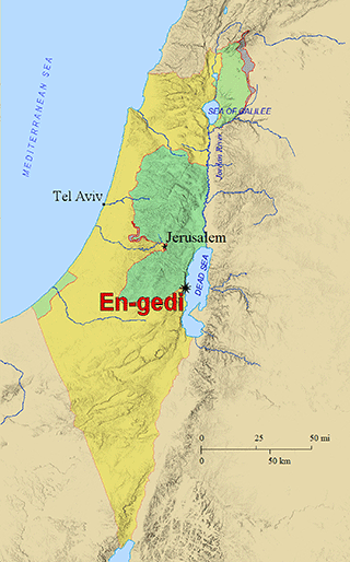 Engedi