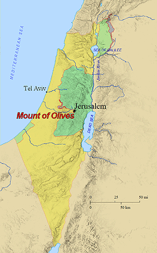 Mount Olives