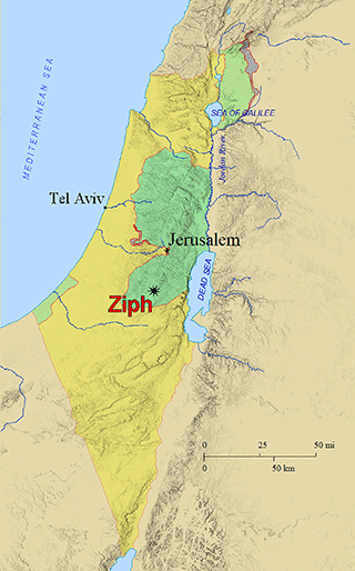 Ziph