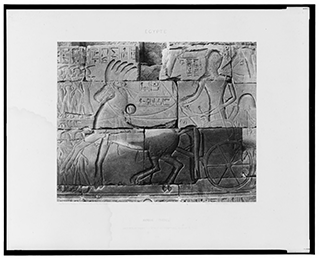 Hieroglyphic Chariot