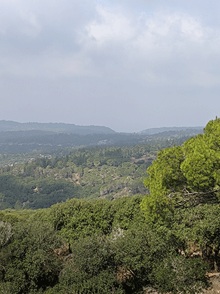 View from Mount Carmel
