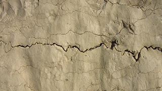 Limestone