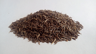 Black Cumin