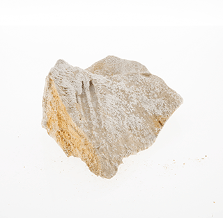 Magnesian Limestone
