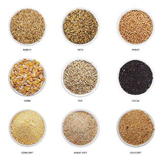 Grains
