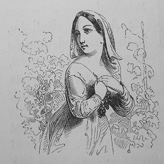 Eating of the neighbors vineyard and corn