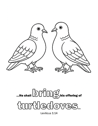 Turtledoves