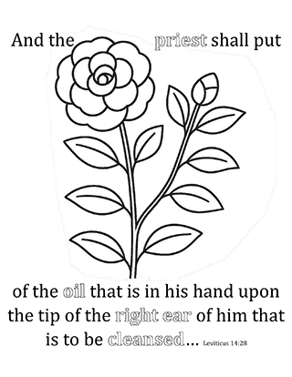 And the Priest shall put