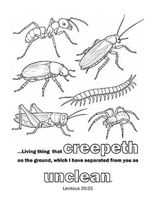 Everything that Creepeth Shall be Unclean