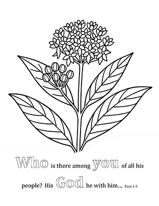 Who is there among