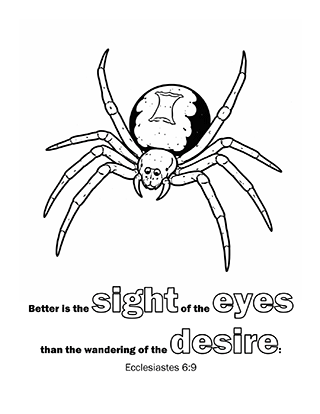 Better is the sight