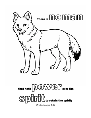 There is no