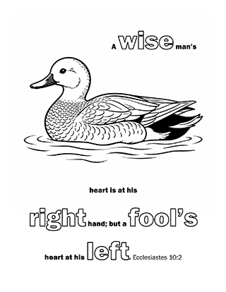 A wise