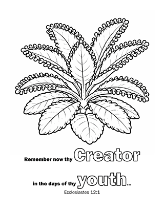 Remember now