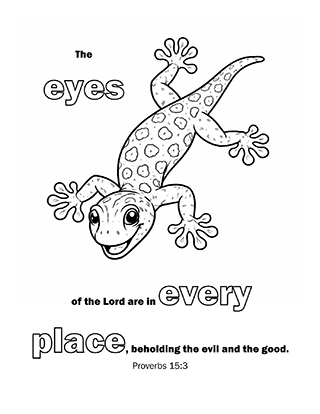 The eyes