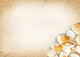 Personalized design