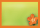 Personalized design
